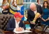 Is Gianni Infantino’s job at risk after World Cup red card row? President Donald Trump, flanked by Vice President JD Vance and FIFA President Gianni Infantino, announces that the FIFA World Cup draw