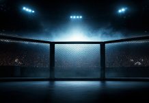 How UFC became a commercial and sponsorship powerhouse MMA RIng