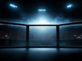 How UFC became a commercial and sponsorship powerhouse MMA RIng