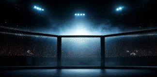 How UFC became a commercial and sponsorship powerhouse MMA RIng