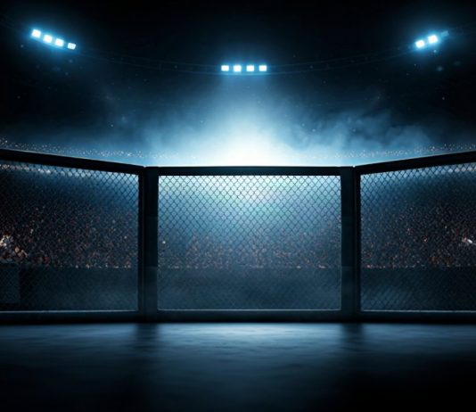 How UFC became a commercial and sponsorship powerhouse MMA RIng
