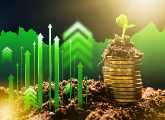 Why sustainability is a key driver of value in sports assets Coins stack with plant growing and upward arrows showing growth in finance via sustainability.