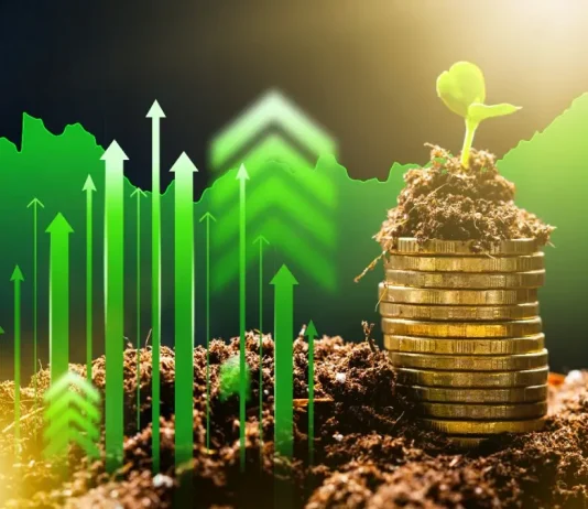 Why sustainability is a key driver of value in sports assets Coins stack with plant growing and upward arrows showing growth in finance via sustainability.