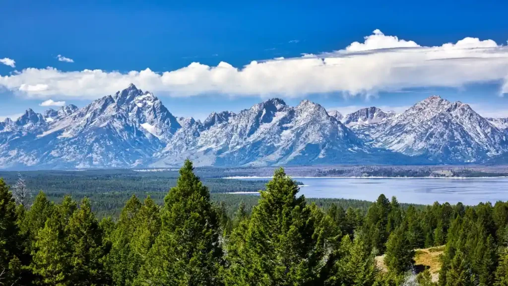 Grand Teton National Park. Wyoming. United States.