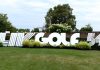 After billions of dollars invested, LIV Golf considers filing for bankruptcy LIV Golf reportedly filing for bankruptcy